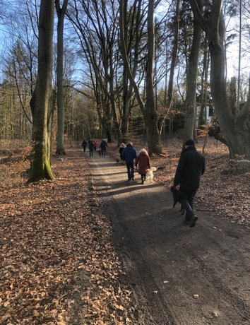 Social Walk mit Begegnungsübungen in der Hundeschule in Möll